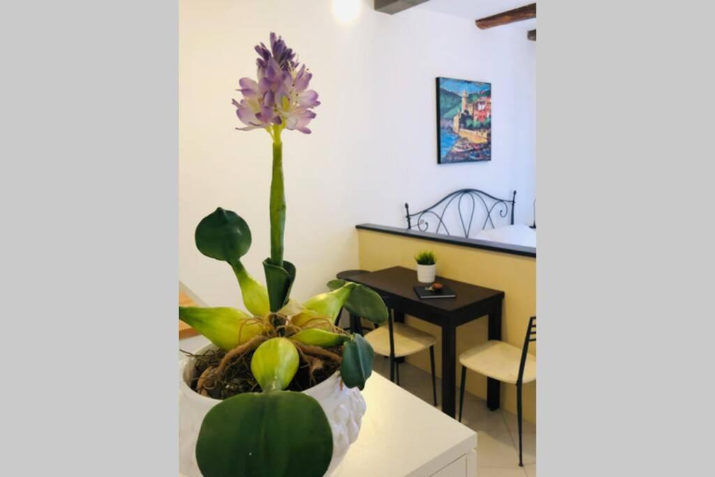La Gianchina Di - Cozy Wi-fi Apartment *